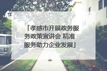 孝感市开展政务服务政策宣讲会 精准服务助力企业发展