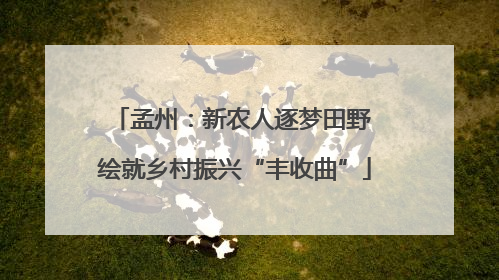 孟州：新农人逐梦田野 绘就乡村振兴“丰收曲”