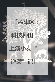 孟津区：科技种田 上演小麦“逆袭”记