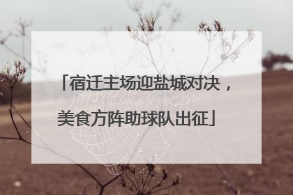 宿迁主场迎盐城对决，美食方阵助球队出征