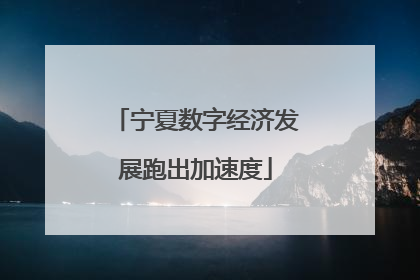 宁夏数字经济发展跑出加速度