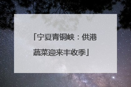 宁夏青铜峡：供港蔬菜迎来丰收季