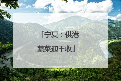 宁夏：供港蔬菜迎丰收