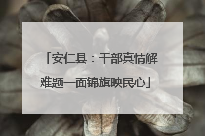 安仁县：干部真情解难题一面锦旗映民心