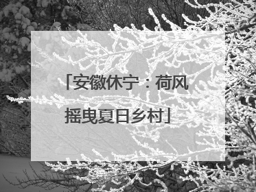 安徽休宁：荷风摇曳夏日乡村
