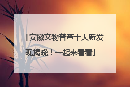安徽文物普查十大新发现揭晓！一起来看看