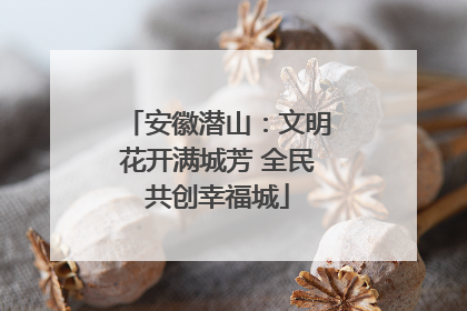 安徽潜山：文明花开满城芳 全民共创幸福城