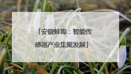 安徽蚌埠：智能传感器产业集聚发展