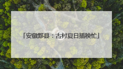 安徽黟县：古村夏日插秧忙