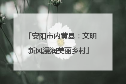 安阳市内黄县：文明新风浸润美丽乡村