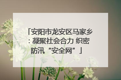 安阳市龙安区马家乡：凝聚社会合力 织密防汛“安全网”