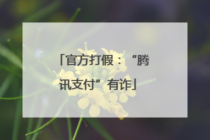 官方打假：“腾讯支付”有诈