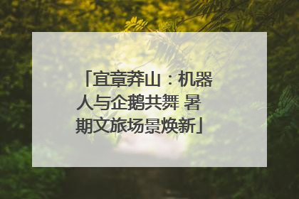 宜章莽山：机器人与企鹅共舞 暑期文旅场景焕新