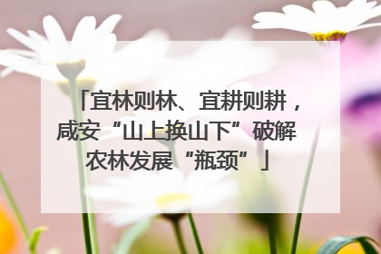 宜林则林、宜耕则耕，咸安“山上换山下”破解农林发展“瓶颈”