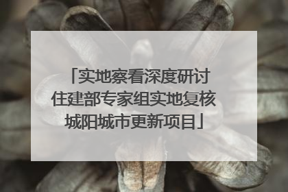 实地察看深度研讨 住建部专家组实地复核城阳城市更新项目