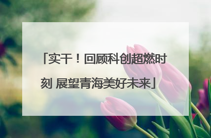 实干！回顾科创超燃时刻 展望青海美好未来