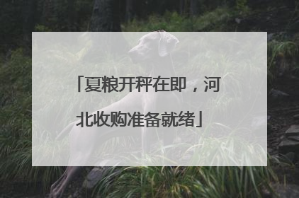 夏粮开秤在即，河北收购准备就绪