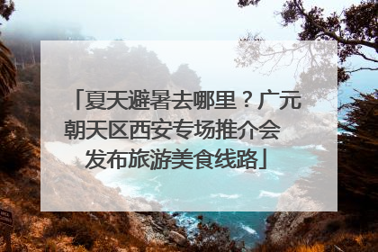 夏天避暑去哪里？广元朝天区西安专场推介会 发布旅游美食线路