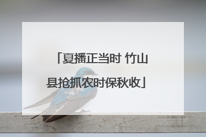 夏播正当时 竹山县抢抓农时保秋收