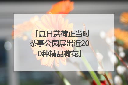夏日赏荷正当时 茶亭公园展出近200种精品荷花