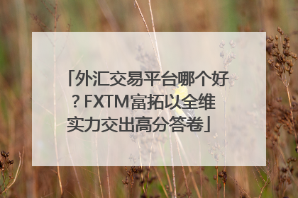 外汇交易平台哪个好？FXTM富拓以全维实力交出高分答卷