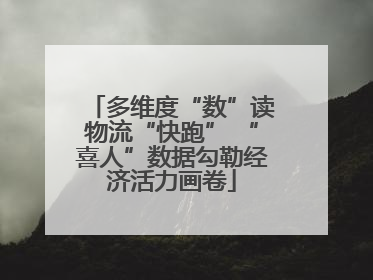多维度“数”读物流“快跑” “喜人”数据勾勒经济活力画卷