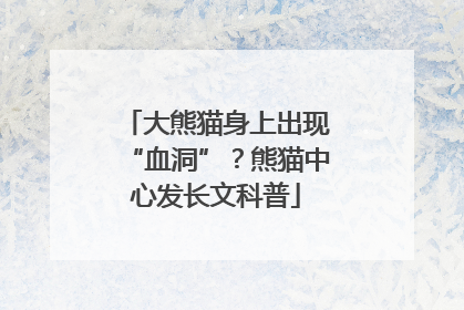 大熊猫身上出现“血洞”？熊猫中心发长文科普