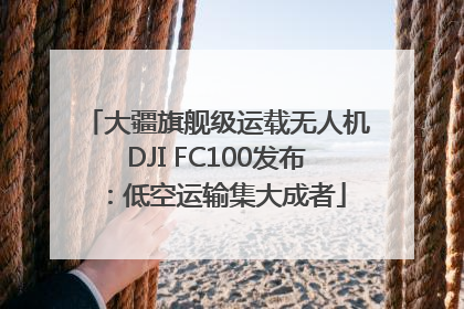 大疆旗舰级运载无人机DJI FC100发布：低空运输集大成者