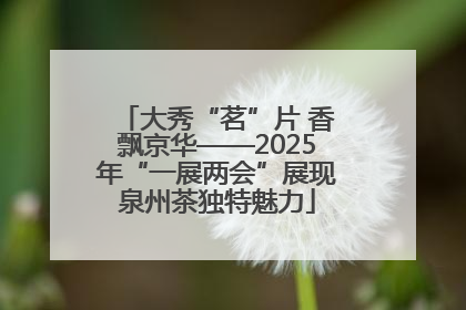 大秀“茗”片 香飘京华——2025年“一展两会”展现泉州茶独特魅力