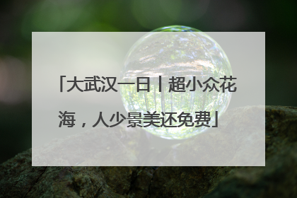 大武汉一日丨超小众花海，人少景美还免费