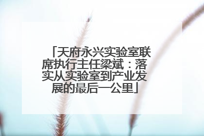 天府永兴实验室联席执行主任梁斌：落实从实验室到产业发展的最后一公里