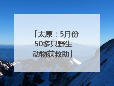 太原：5月份 50多只野生动物获救助