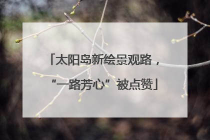 太阳岛新绘景观路，“一路芳心”被点赞