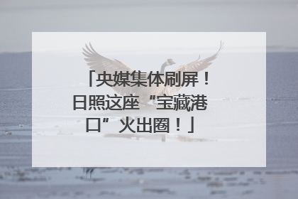 央媒集体刷屏！日照这座“宝藏港口”火出圈！