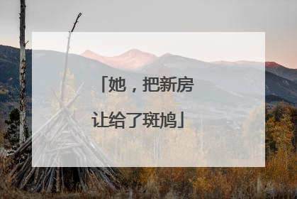 她，把新房让给了斑鸠