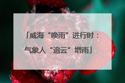 威海“唤雨”进行时：气象人“追云”增雨