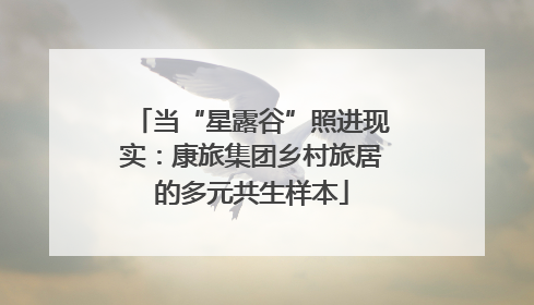 当“星露谷”照进现实：康旅集团乡村旅居的多元共生样本