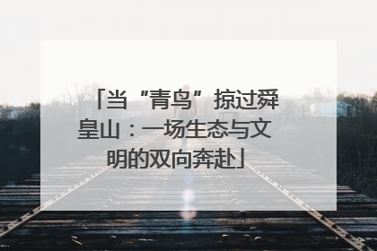 当“青鸟”掠过舜皇山：一场生态与文明的双向奔赴