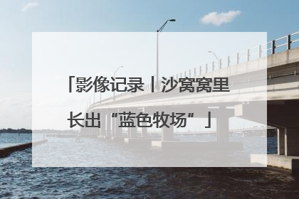 影像记录丨沙窝窝里长出“蓝色牧场”