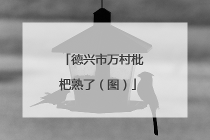 德兴市万村枇杷熟了（图）