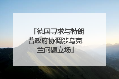 德国寻求与特朗普政府协调涉乌克兰问题立场