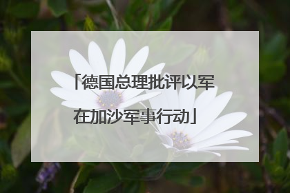德国总理批评以军在加沙军事行动