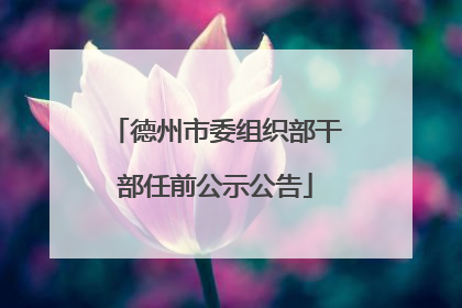 德州市委组织部干部任前公示公告