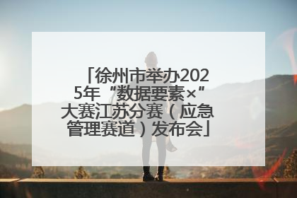 徐州市举办2025年“数据要素×”大赛江苏分赛（应急管理赛道）发布会