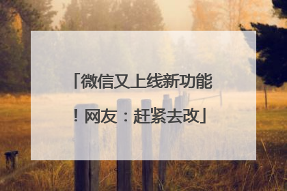 微信又上线新功能！网友：赶紧去改