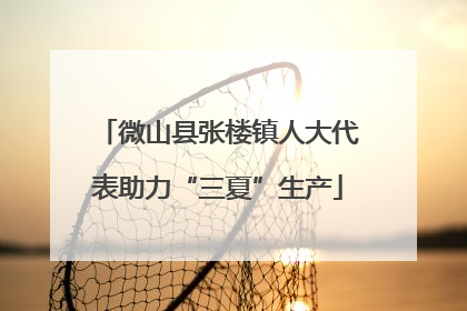 微山县张楼镇人大代表助力“三夏”生产