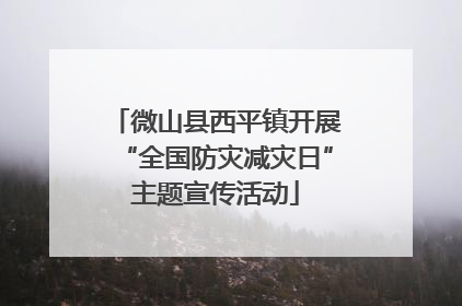 微山县西平镇开展“全国防灾减灾日”主题宣传活动