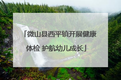 微山县西平镇开展健康体检 护航幼儿成长