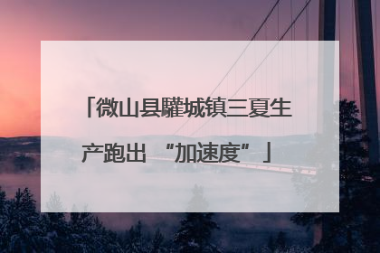 微山县驩城镇三夏生产跑出 “加速度”