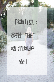 微山县：多措“廉”动 清风护安